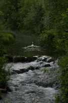 The serene waters of Swat River flowing gently past ancient ruins.