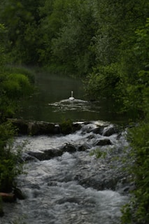 The serene waters of Swat River flowing gently past ancient ruins.