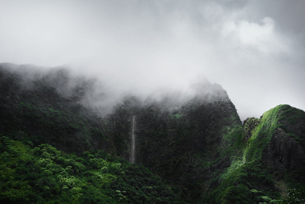 霧に覆われた山