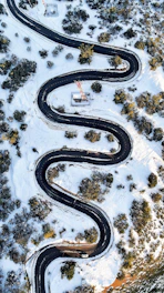 black road near trees at daytime
