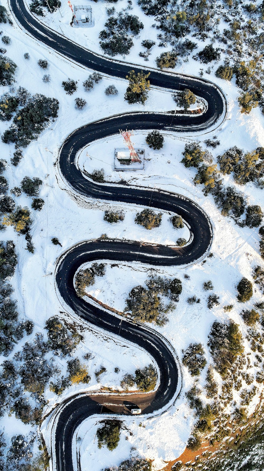 black road near trees at daytime