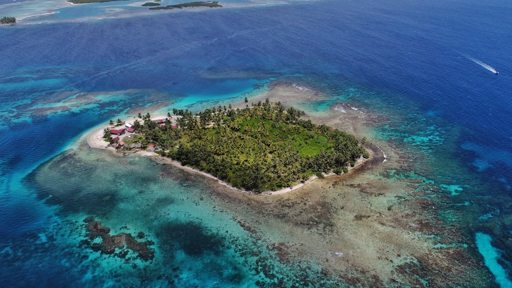 Photographie aérienne de l’île entourée d’un plan d’eau à l’heure de jour logo