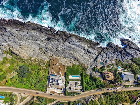 aerial view of seashore island in Zapallar Chile