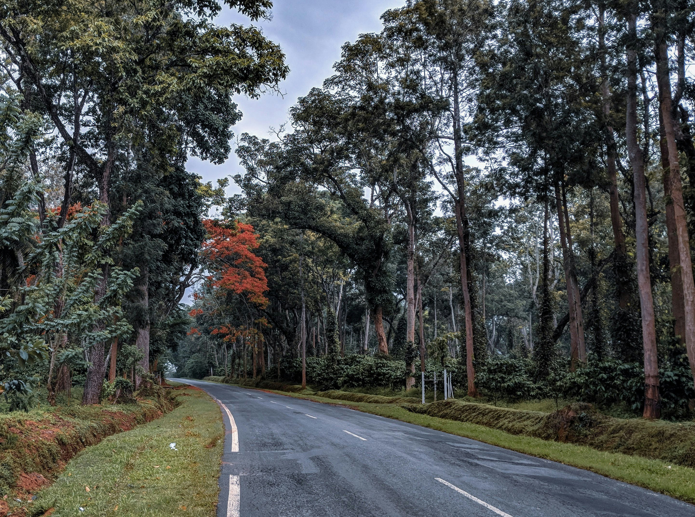 Somewhere in Nokya, Karnataka (India)
