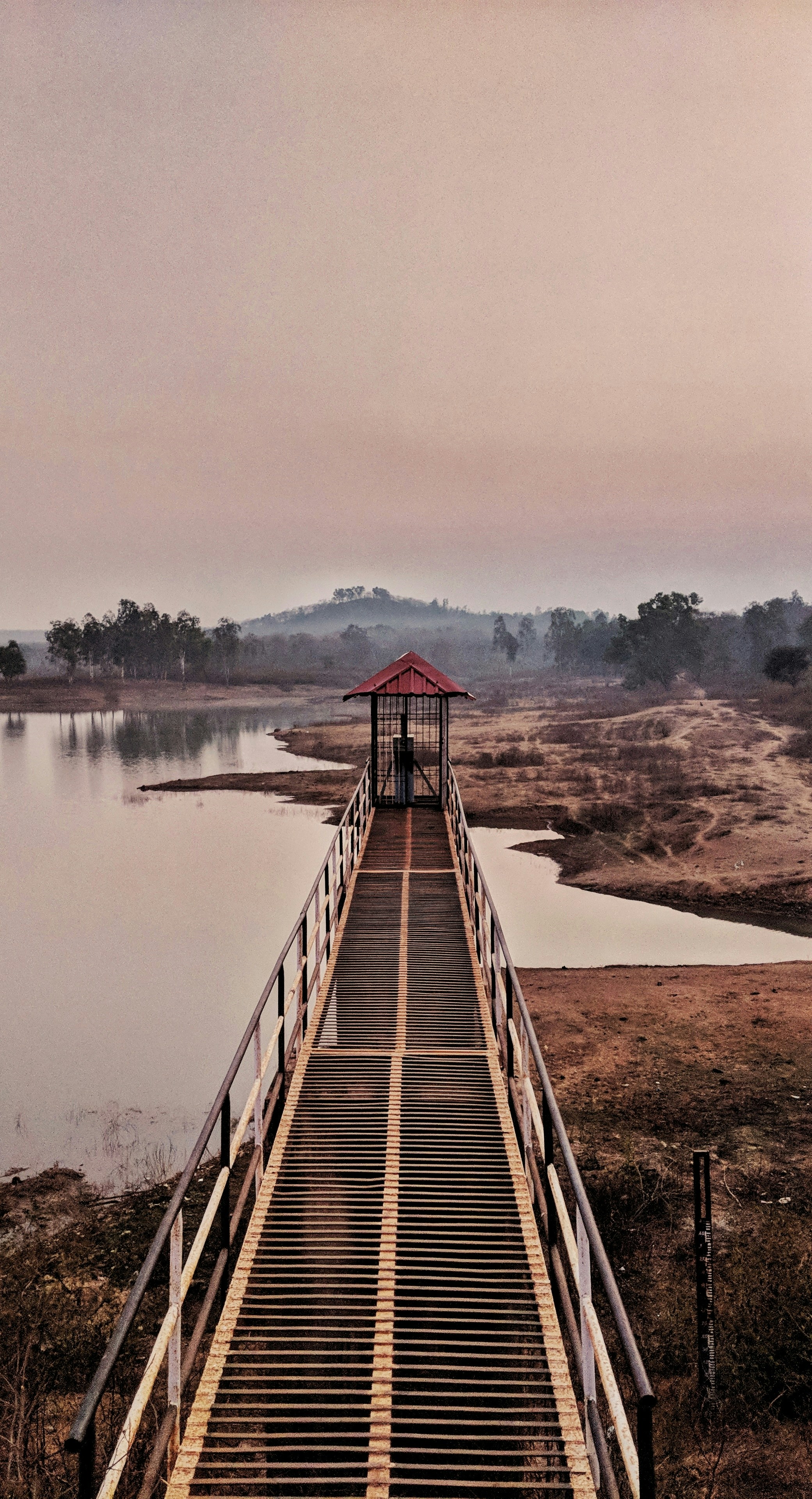 Photograph by Ashwini Chaudhary