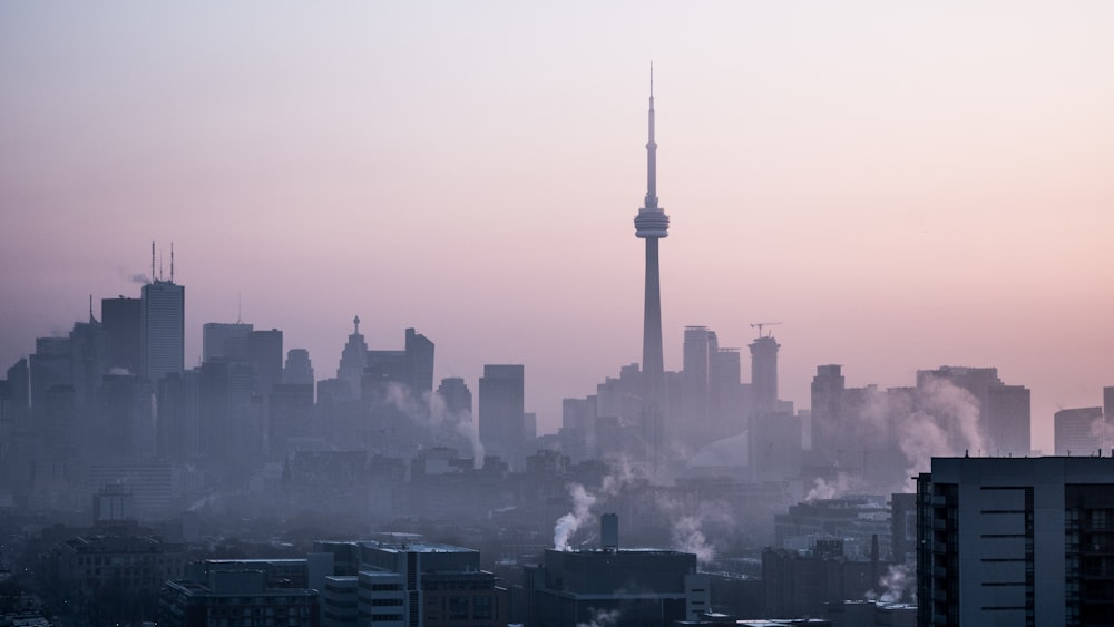 photo of high-rise buildings