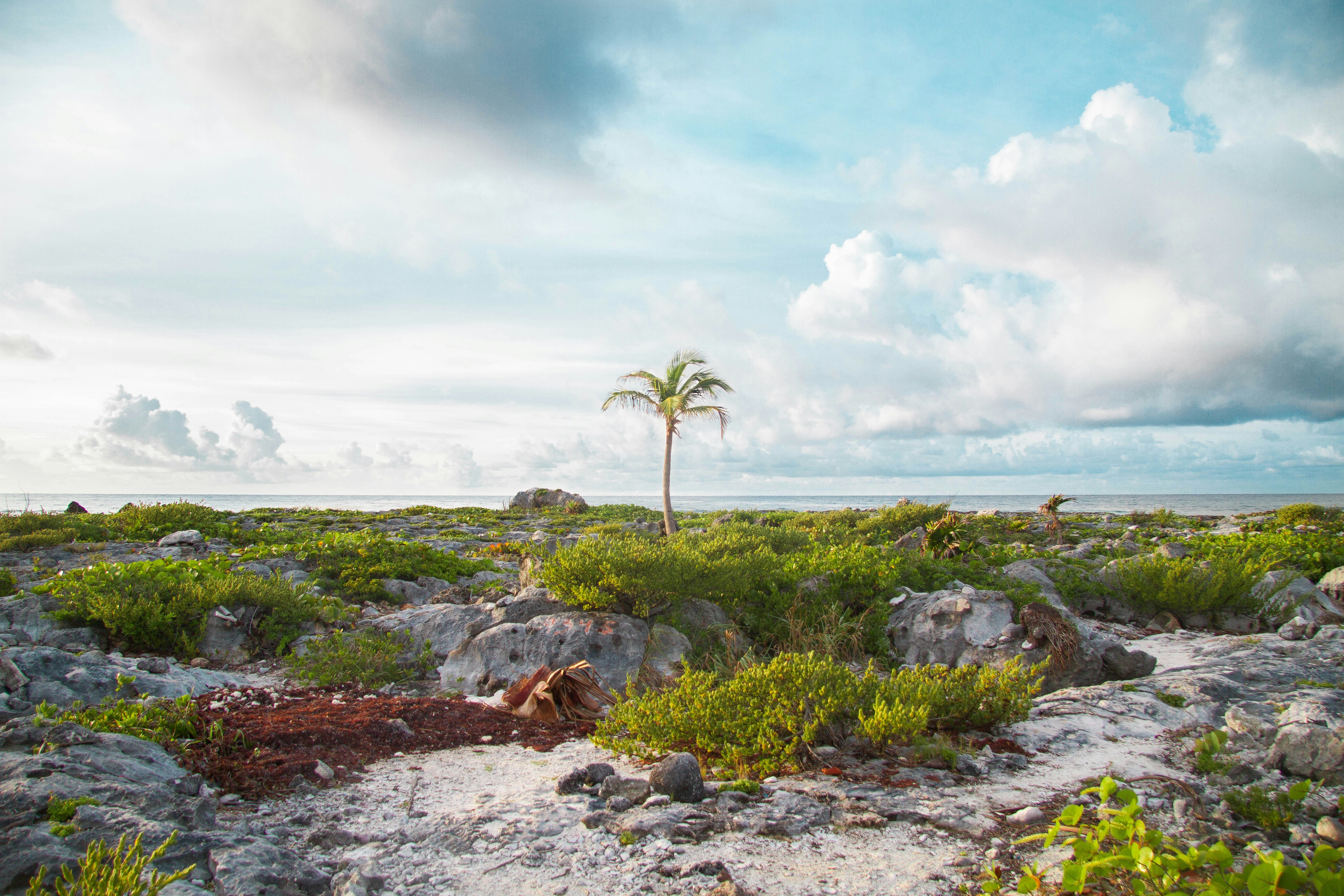 Photo by matt__feeney