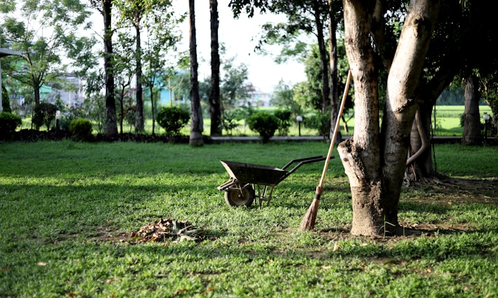 black wheelbarrow near tree during daytime