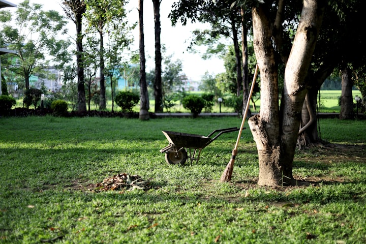 Mom’s Law: Growing a Mother-Daughter Bond in a Countryside Garden Patch