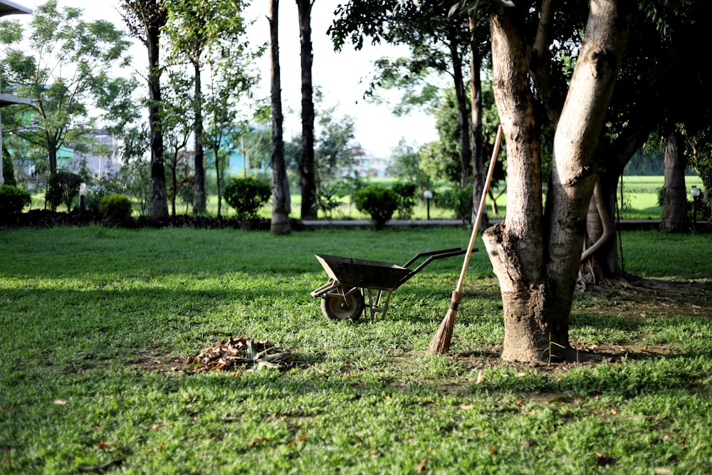 black wheelbarrow near tree during daytime