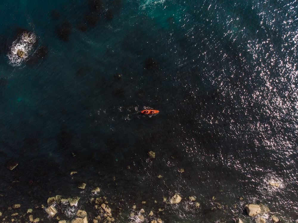 boat on body of water