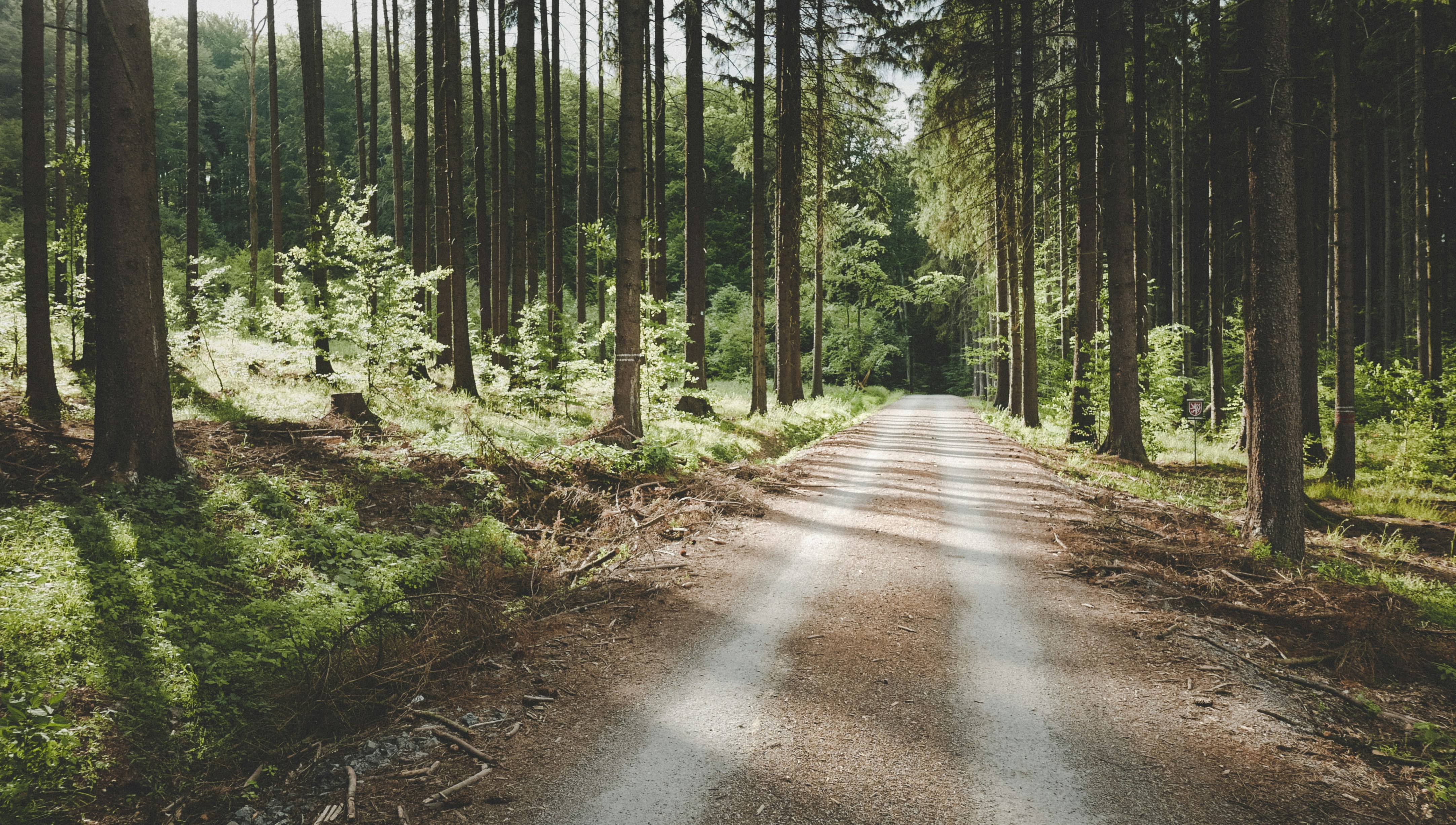 Photo by milanseitler