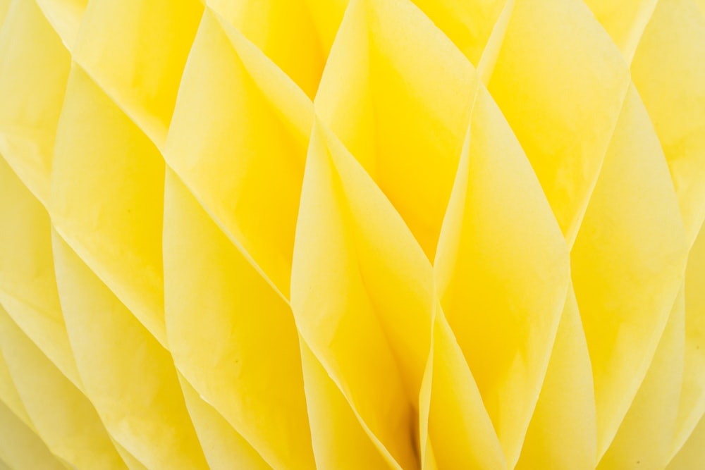 Download 900+ Yellow Background Images: Download HD Backgrounds on Unsplash