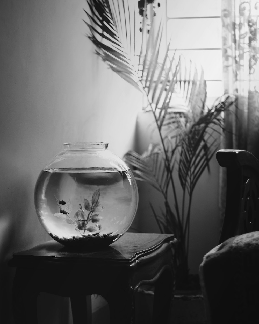 grayscale photo of glass fish bowl