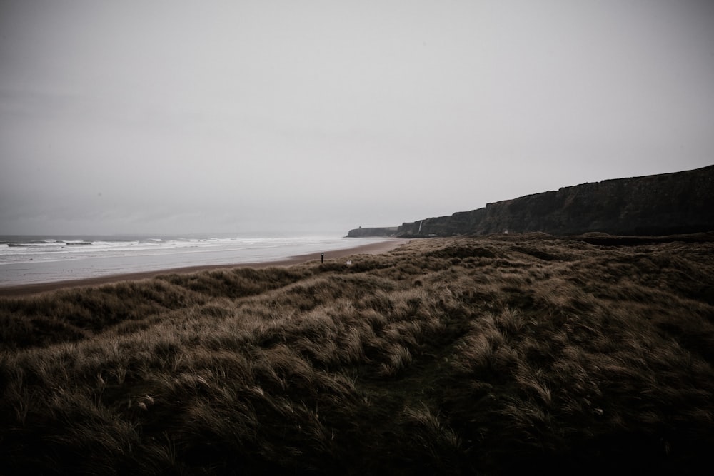 Foto de areia marrom