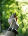 person showing green leaf