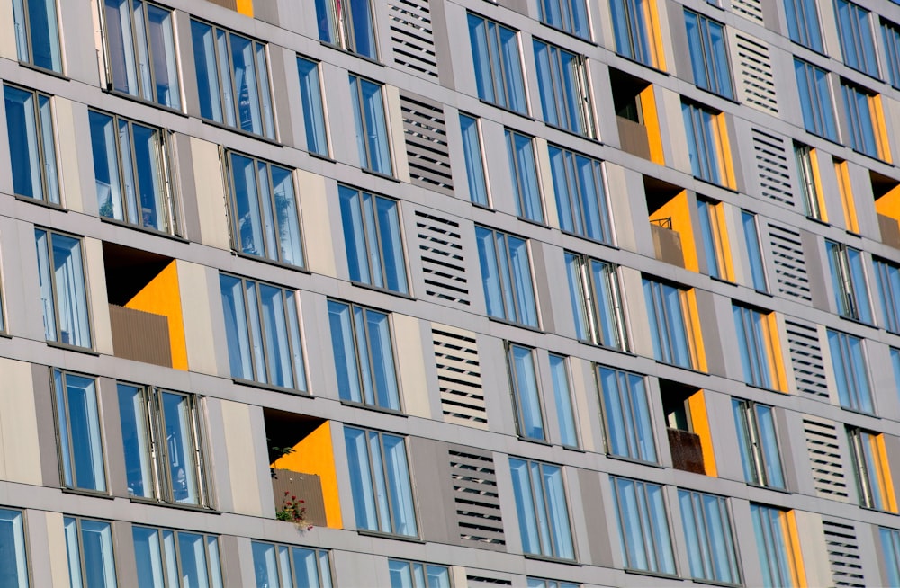 grey concrete building