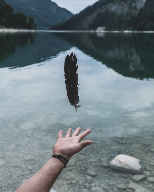 black feather falling on person's hand in Sylvenstein Lake Germany