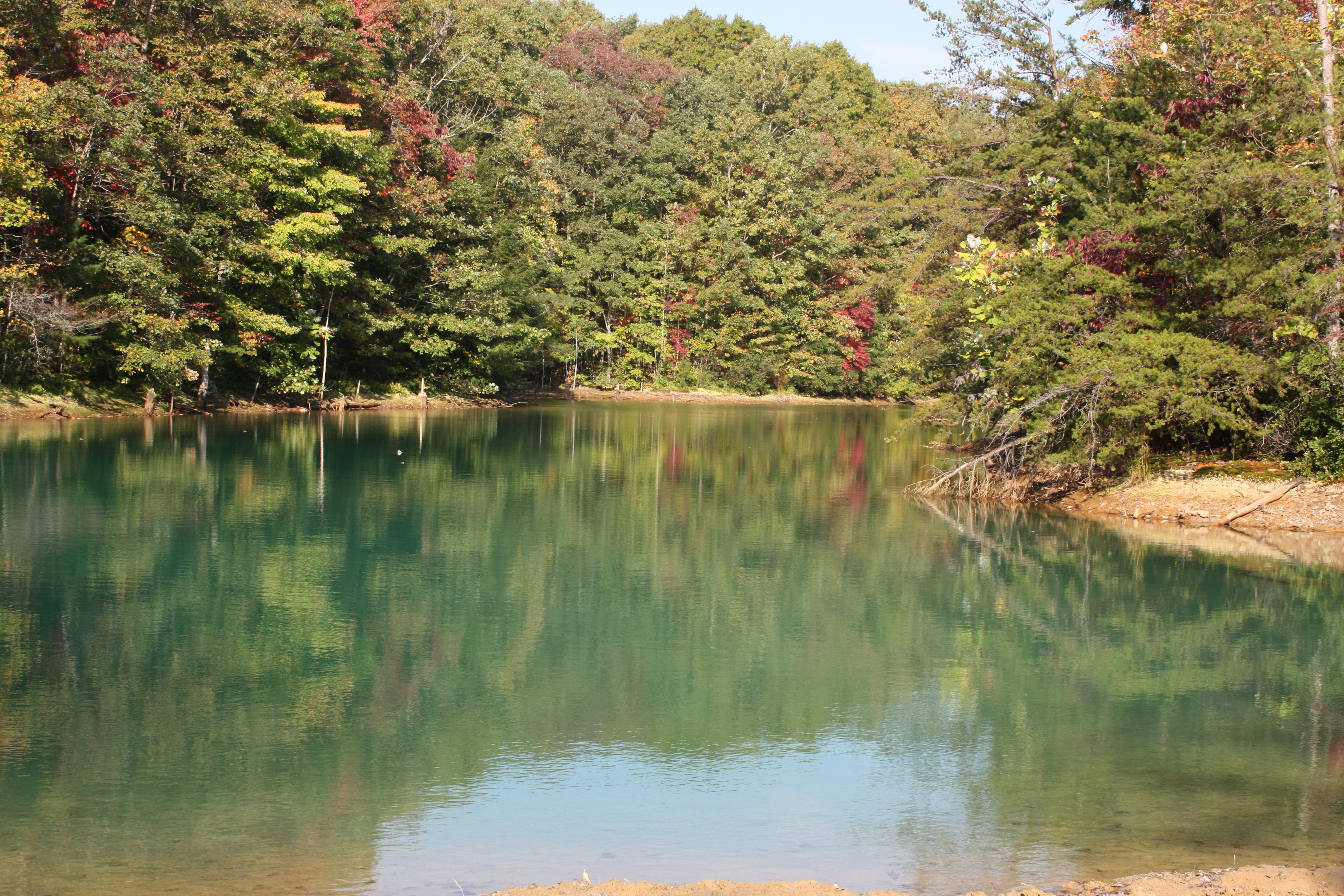 Free Pickett State Park Cabins Image On Unsplash