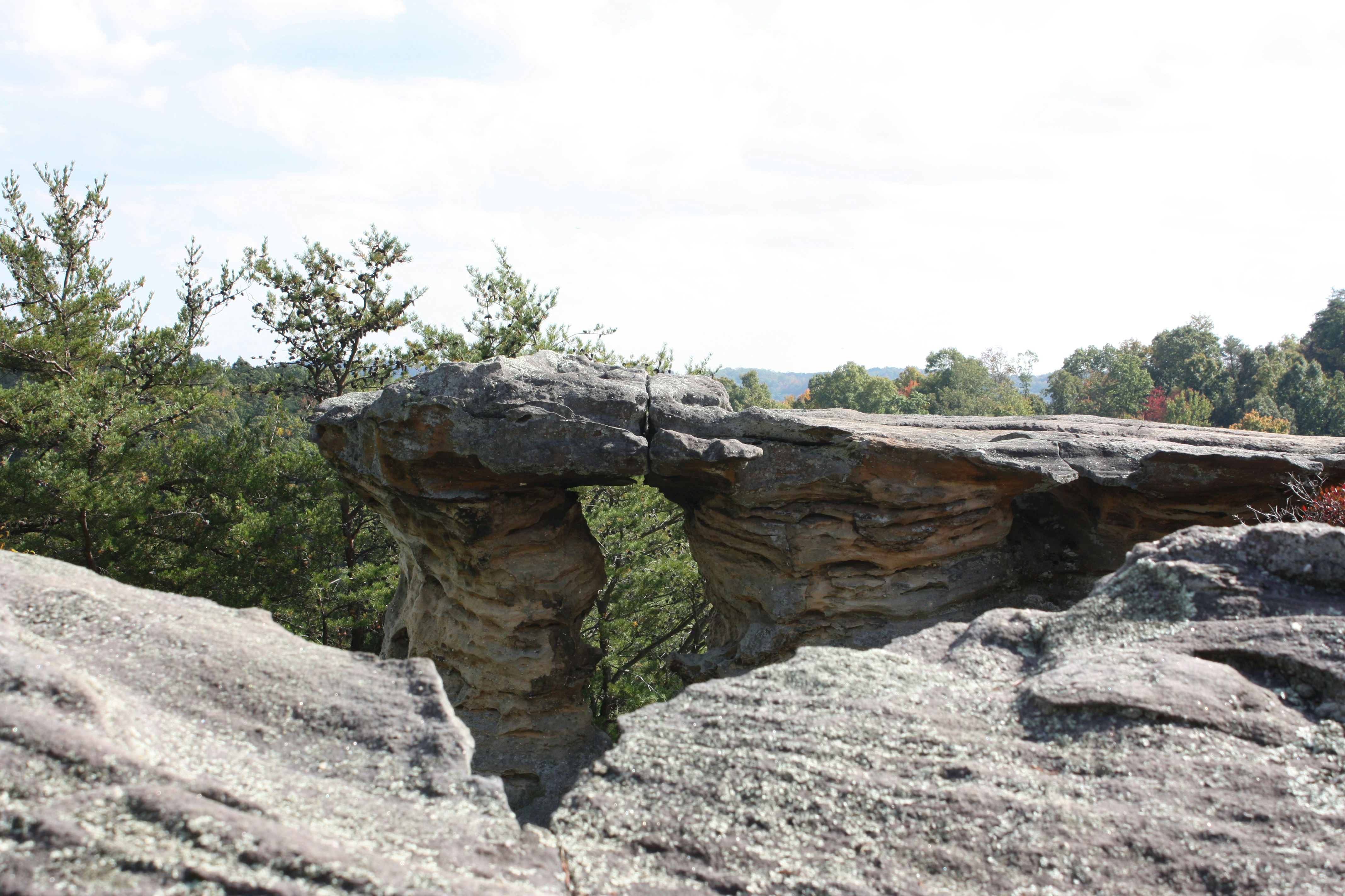 Free Pickett State Park Cabins Image On Unsplash