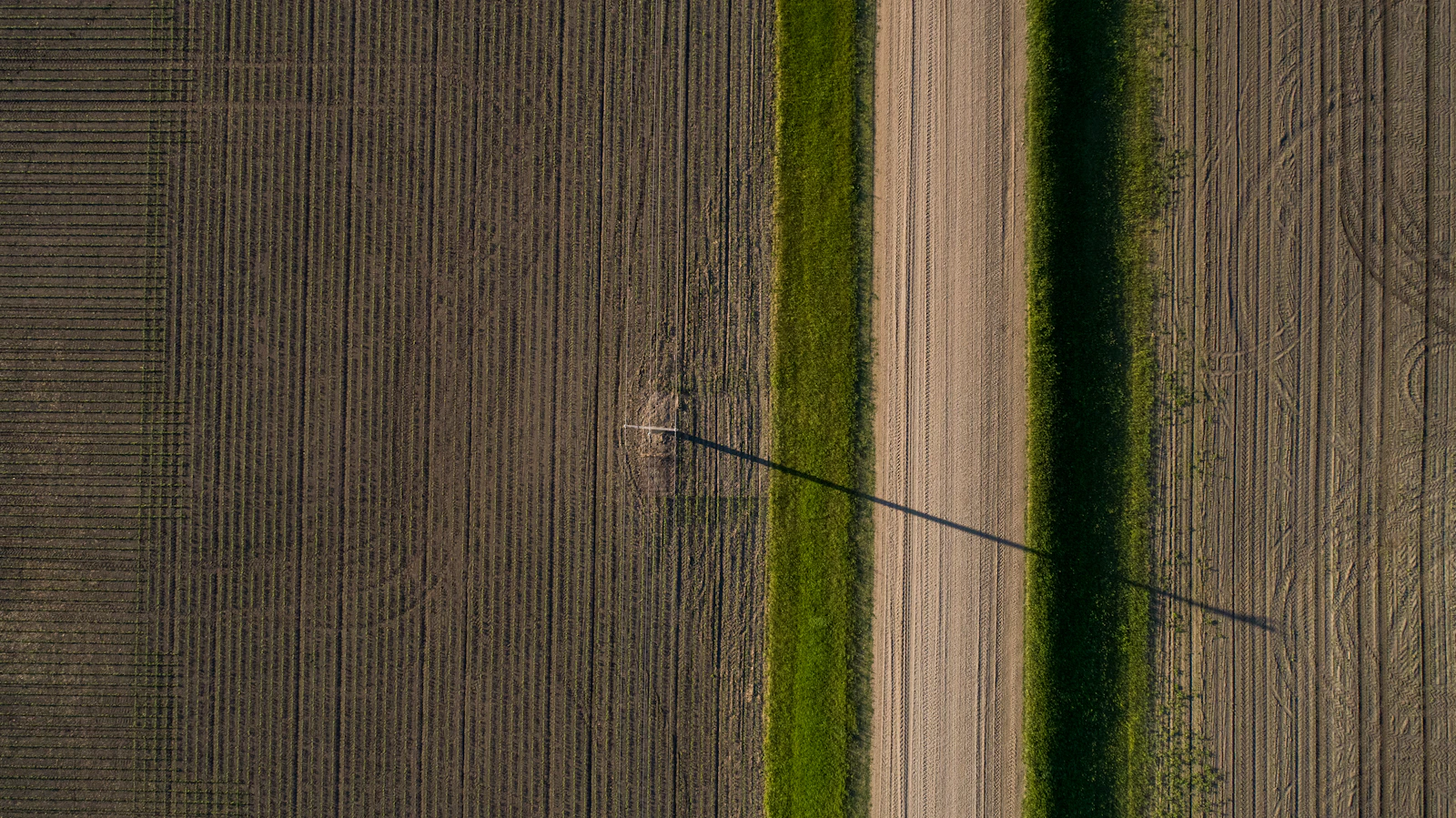 Aerial view of Midwest farmland with long shadows