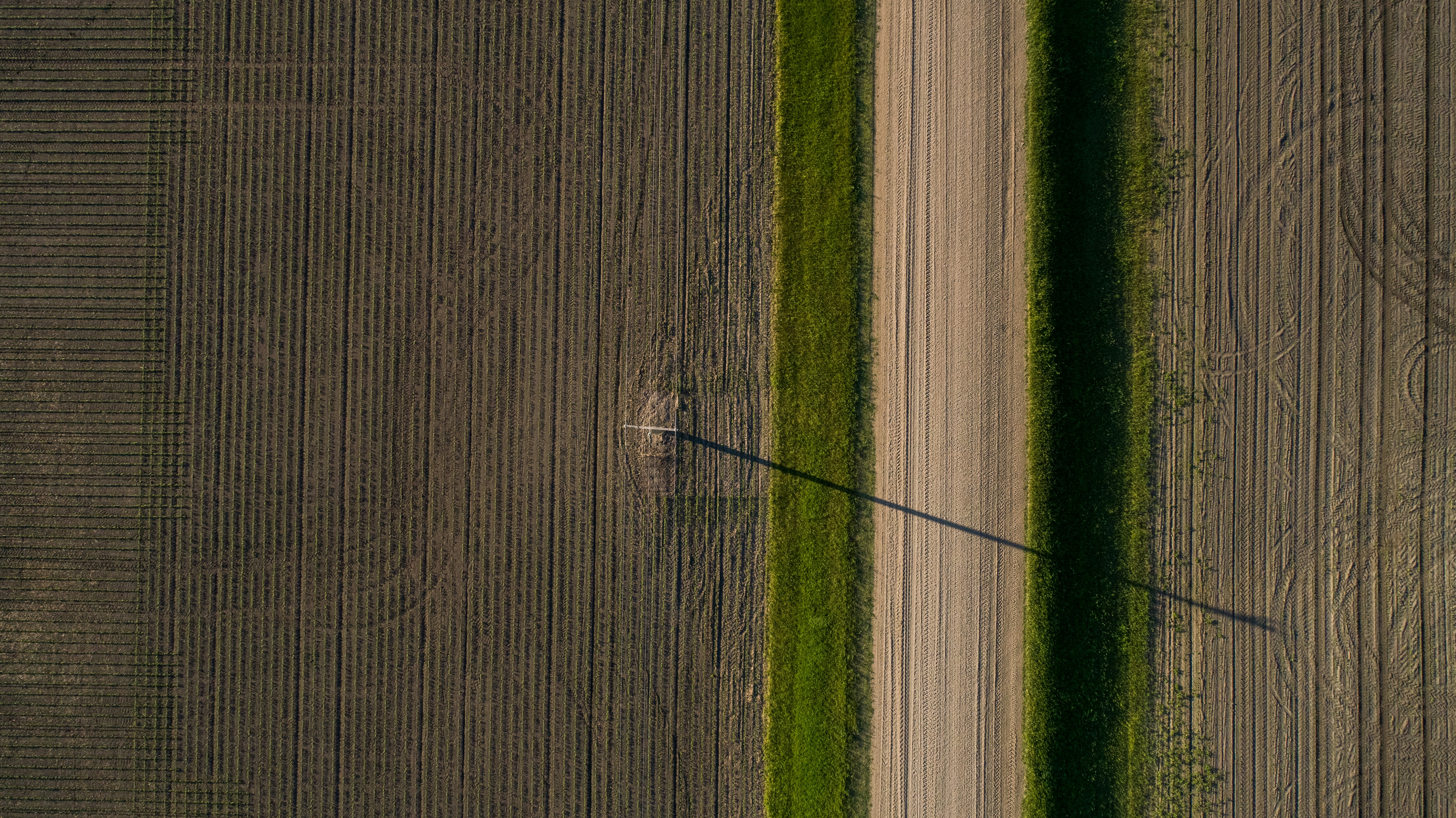 America's Invisible Atlas: How Farm Registry Data Could Become the Nation's Most Powerful Agricultural Intelligence Tool