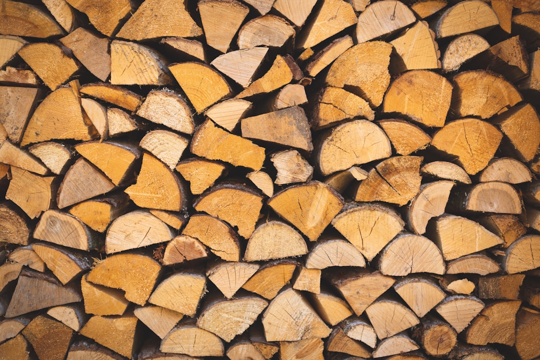 ebony, ebony wood, piled firewood lot