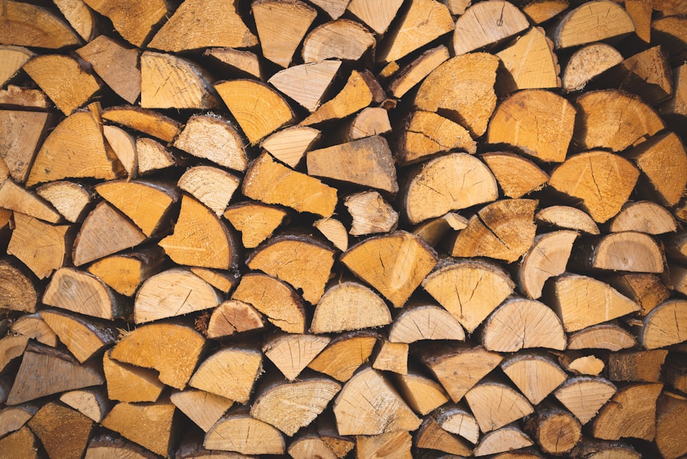 piled firewood lot