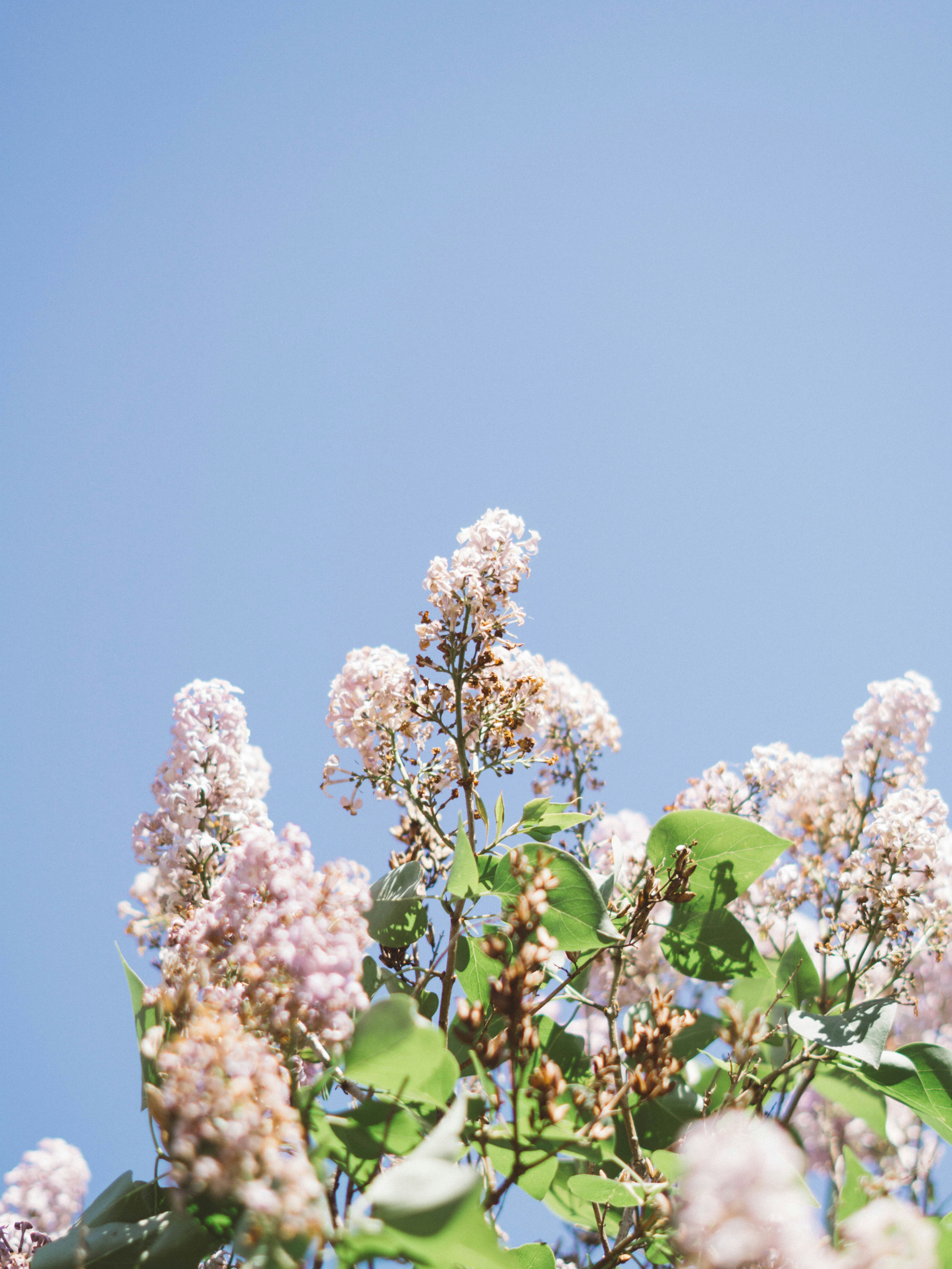 Photo by beer_drinker649