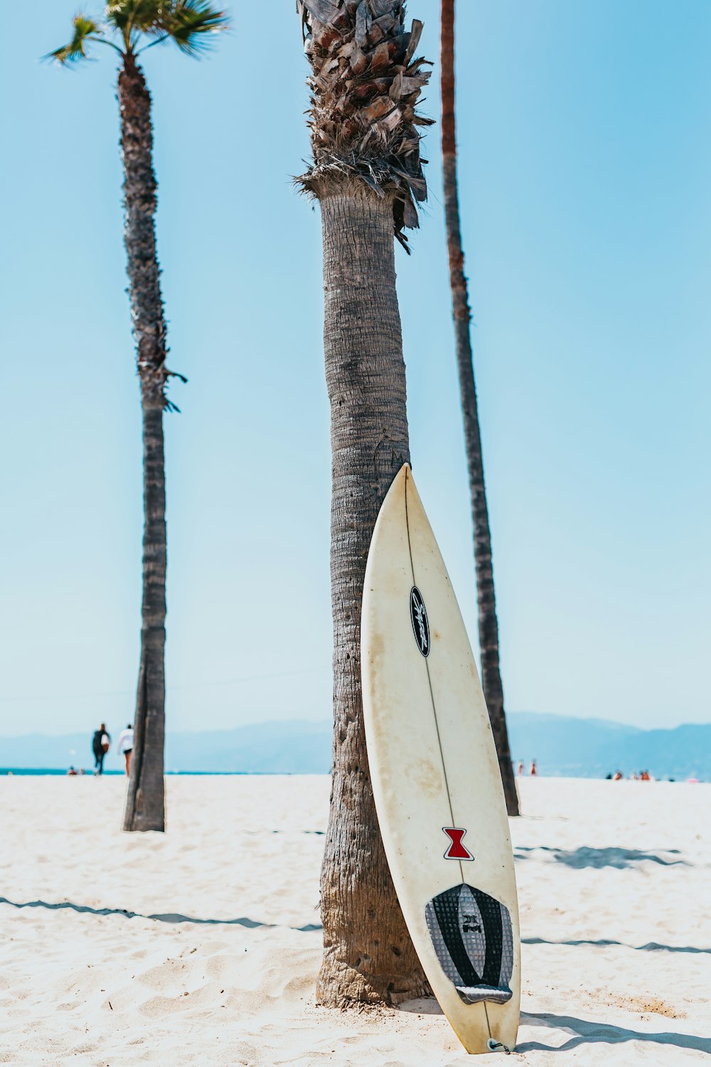 planche de surf blanche et noire appuyée sur un palmier mexicain gris