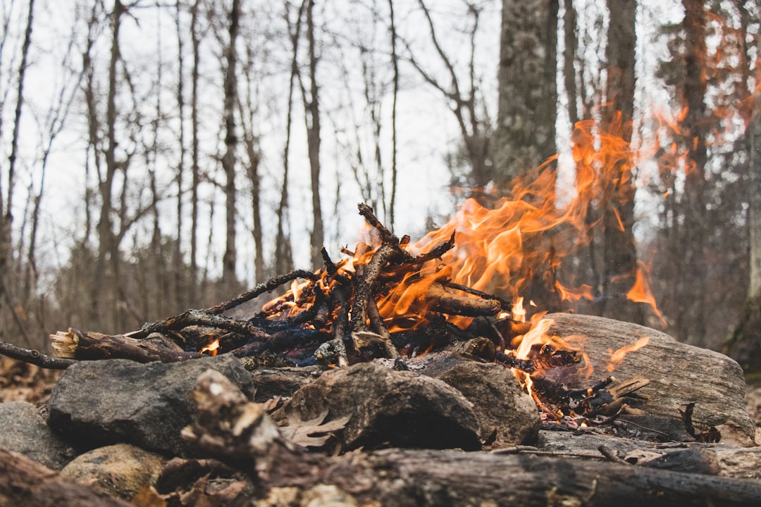 Camping photo spot Camp Kandalore Algonquin Park