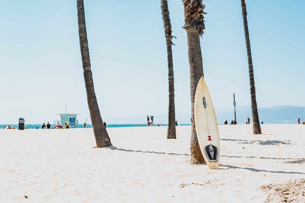 fotografia de foco seletivo de prancha de surf branca