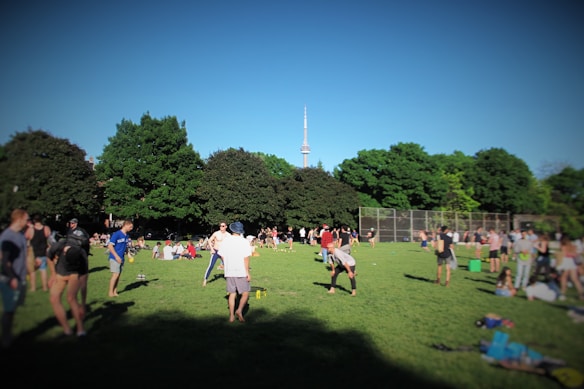 A lively park scene with groups of people engaging in outdoor activities on a sunny day. The park has lush green grass and tall trees in the background, along with a prominent tower visible in the distance. People are spread out across the field, playing games, relaxing, and socializing.