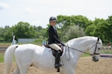 A person wearing equestrian attire is riding a gray horse in an outdoor setting. The background features lush green trees and a dirt riding arena.