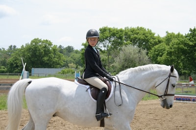 A person wearing equestrian attire is riding a gray horse in an outdoor setting. The background features lush green trees and a dirt riding arena.