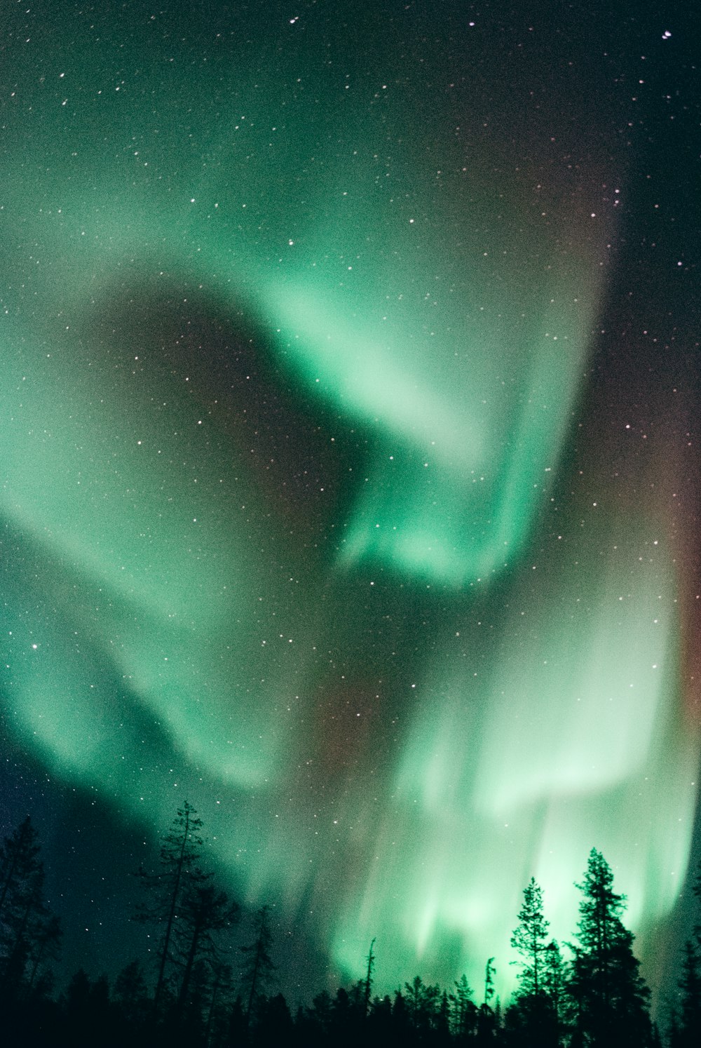 Aurora boreal por la noche