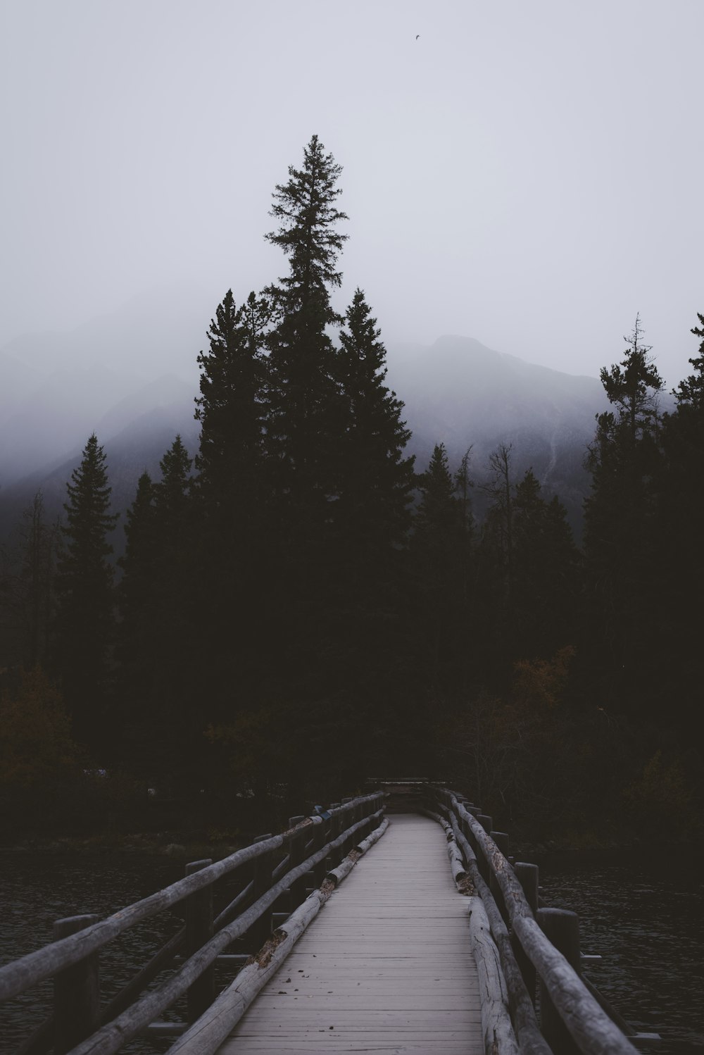 brown footbridge located in the forest