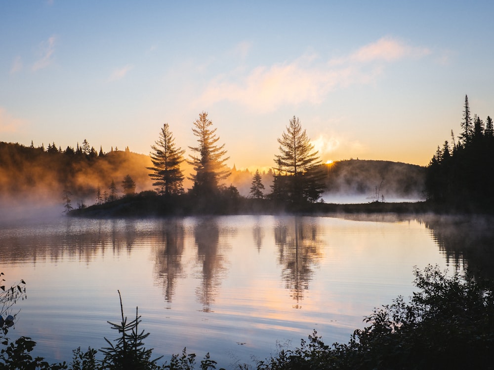 silhouette of trees and body of water in sunrise background