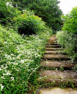 An inviting stone walkway winding through a garden with colorful flowers.