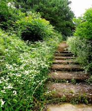 A beautiful garden pathway made of natural stones surrounded by lush greenery.