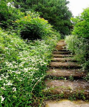 A charming garden path made of natural stones weaving through colorful flower beds and shaded by trees.