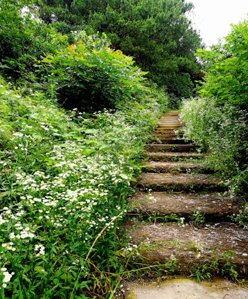 A winding natural stone pathway surrounded by lush greenery and colorful flowers.