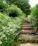 Close-up of a beautifully arranged stone pathway winding through lush greenery.