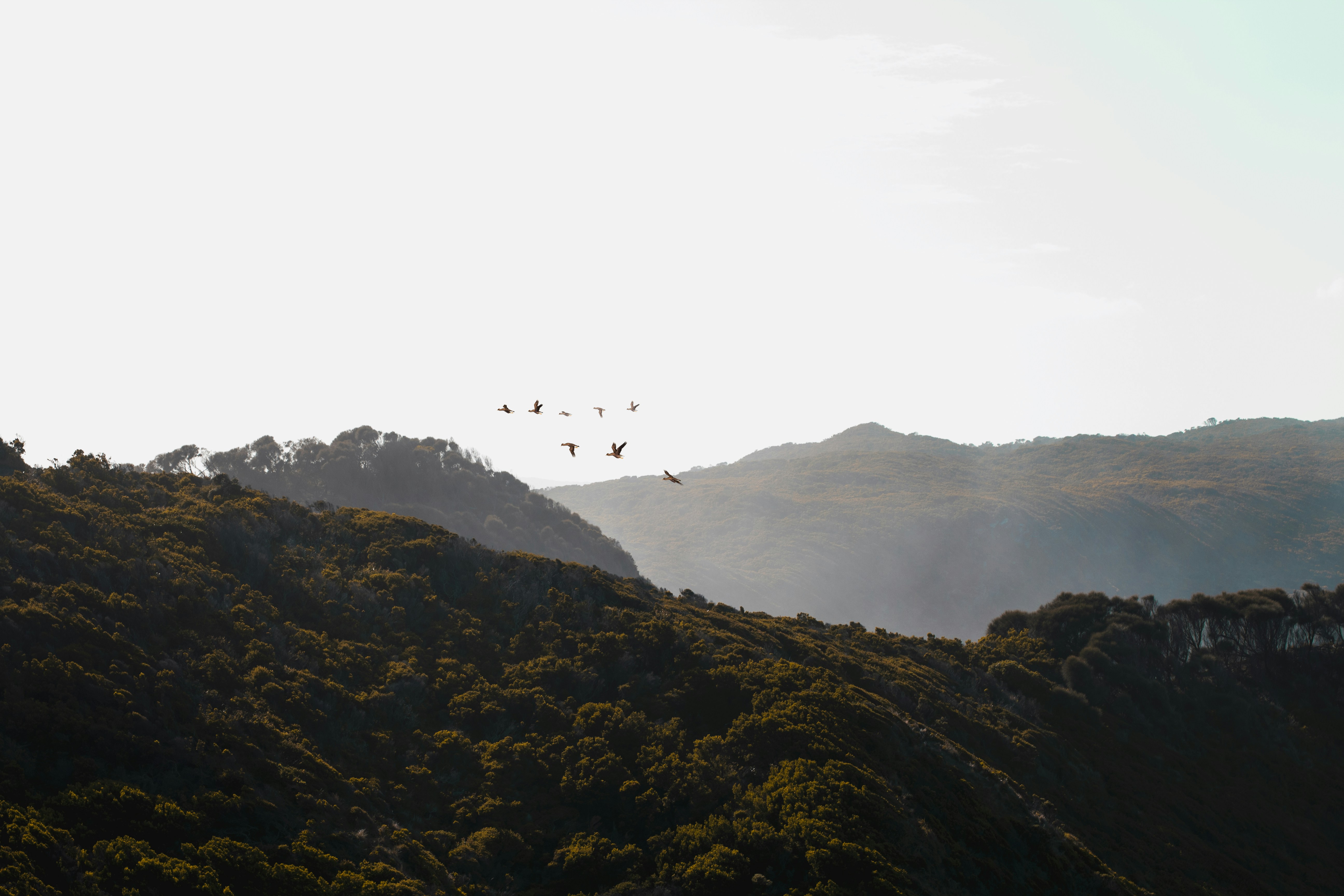 aerial photography of mountain during daytime