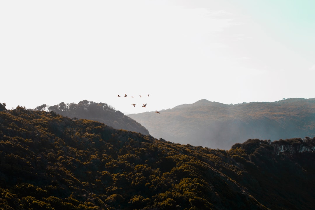 Travel Tips and Stories of Great Ocean Walk in Australia