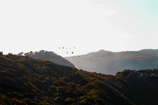 aerial photography of mountain during daytime in Great Ocean Walk Australia