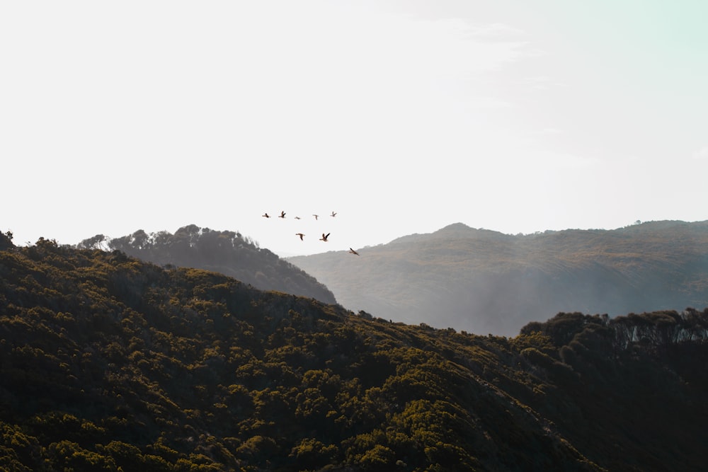 aerial photography of mountain during daytime