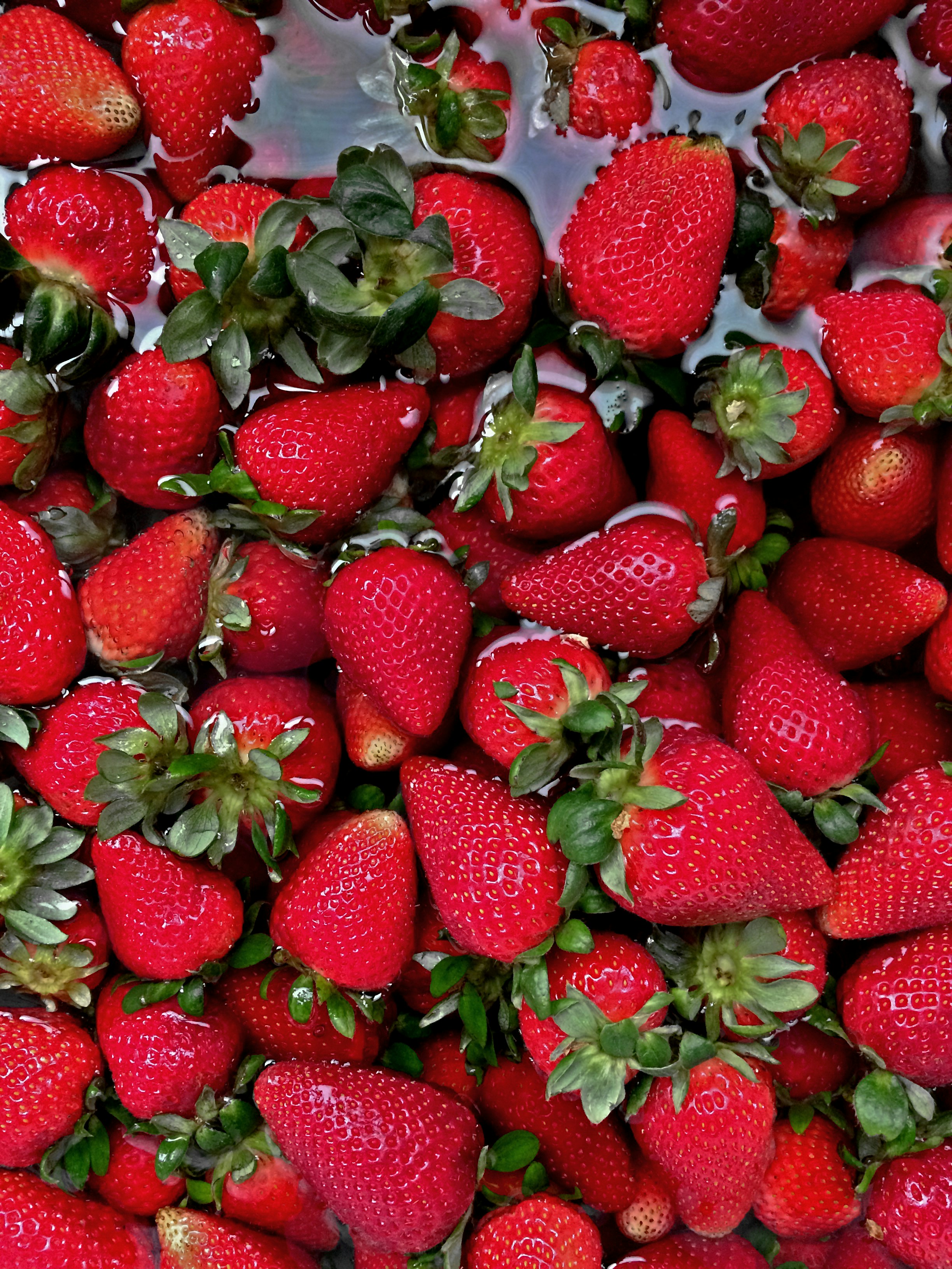 Fresh Strawberries Pack