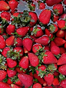 Fresas Frescas