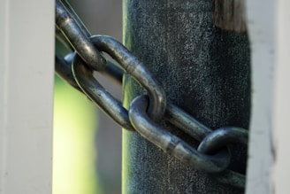 Close-up of a tow truck's hook and chains gleaming in sunlight.